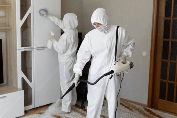 Crawl Space Mold Removal in Mount Holly, NC