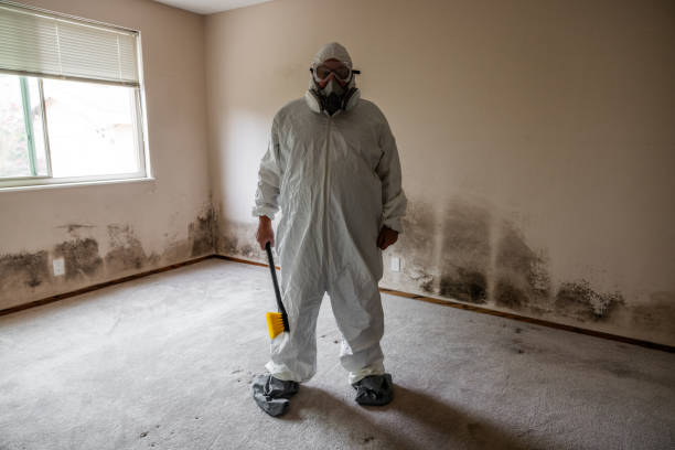 Mold Removal and Inspection in Mount Holly, NC
